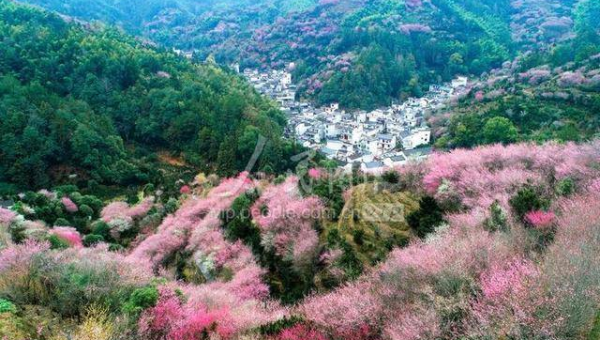 处女座如何处理生活中的细节问题？小淇云库-创业网-网赚副业-网创副业-项目拆解-技术类创业资源网-副业网-免费资源下载小淇云库