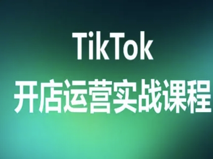 TikTok开店运营实战课程,TK跨境电商实操全流程小淇云库-创业网-网赚副业-网创副业-项目拆解-技术类创业资源网-副业网-免费资源下载小淇云库