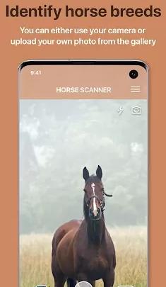 Horse Scanner 马鉴定器v12.1.0高级版小淇云库-创业网-网赚副业-网创副业-项目拆解-技术类创业资源网-副业网-免费资源下载小淇云库