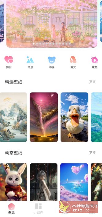 91熊猫桌面主题v1.0.5高级版小淇云库-创业网-网赚副业-网创副业-项目拆解-技术类创业资源网-副业网-免费资源下载小淇云库