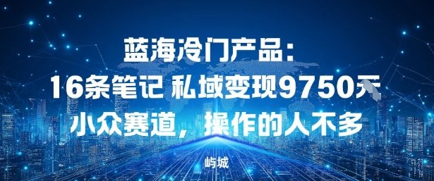 蓝海冷门产品：16条笔记私域变现9750米，小众赛道，操作的人不多小淇云库-创业网-网赚副业-网创副业-项目拆解-技术类创业资源网-副业网-免费资源下载小淇云库