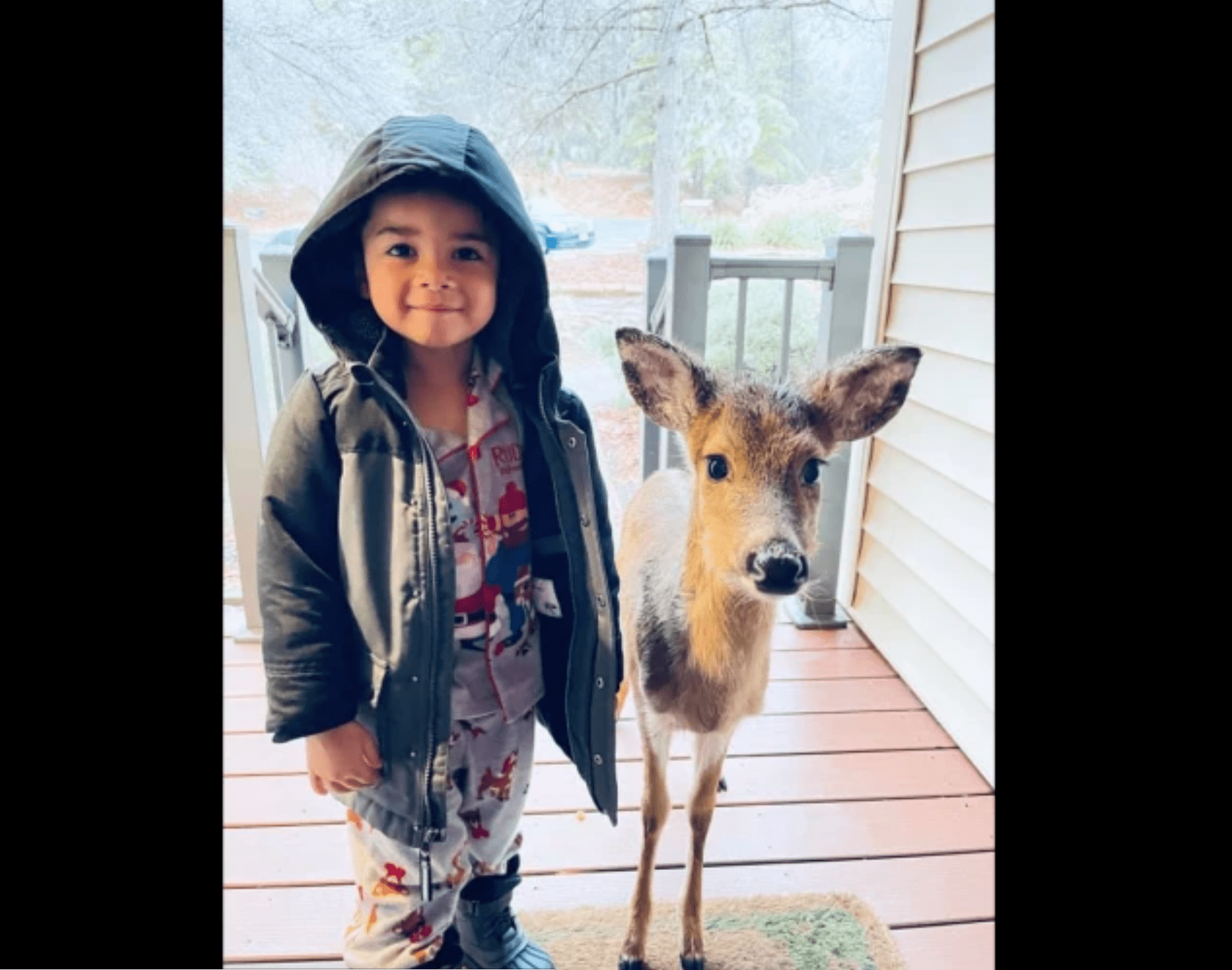 毁灭之王windows10能玩吗小淇云库-创业网-网赚副业-网创副业-项目拆解-技术类创业资源网-副业网-免费资源下载小淇云库