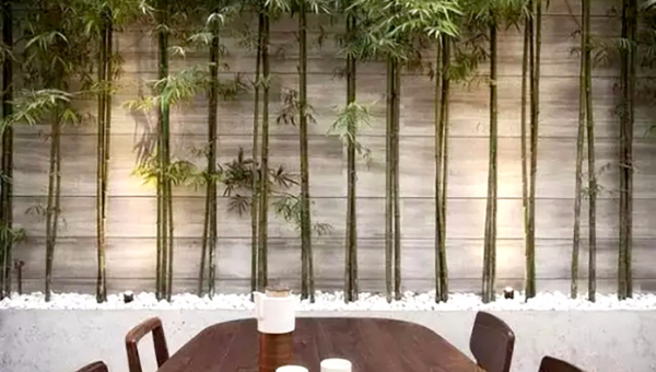 院子里种植竹子的风水好处小淇云库-创业网-网赚副业-网创副业-项目拆解-技术类创业资源网-副业网-免费资源下载小淇云库