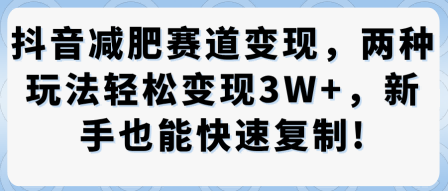抖音减肥赛道变现，两种玩法轻松变现3W+，新手也能快速复制小淇云库-创业网-网赚副业-网创副业-项目拆解-技术类创业资源网-副业网-免费资源下载小淇云库