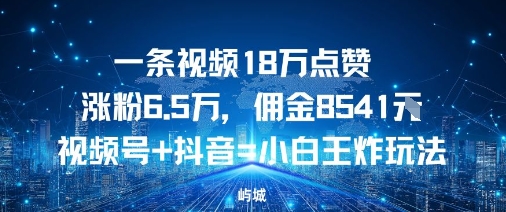 一条视频18W点赞涨粉6.5W,佣金8541视频号+抖音=小白王炸玩法小淇云库-创业网-网赚副业-网创副业-项目拆解-技术类创业资源网-副业网-免费资源下载小淇云库