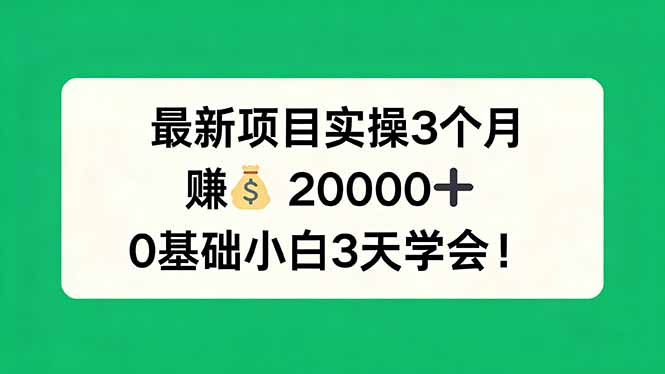 最新项目实操3个月,赚钱20000+,0基础小白3天学会!小淇云库-创业网-网赚副业-网创副业-项目拆解-技术类创业资源网-副业网-免费资源下载小淇云库