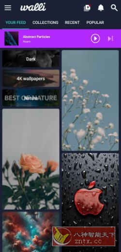 Walli Pro 4K壁纸 2.12.89高级版小淇云库-创业网-网赚副业-网创副业-项目拆解-技术类创业资源网-副业网-免费资源下载小淇云库