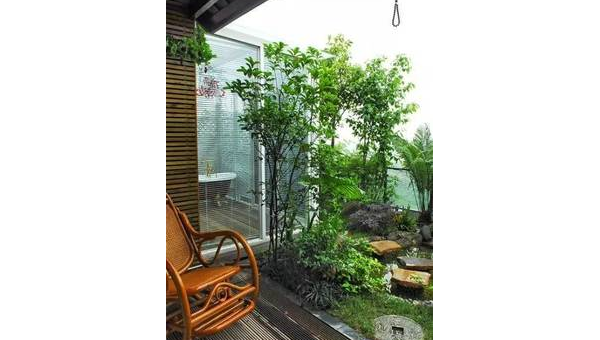 院子里种植梅树的风水好处小淇云库-创业网-网赚副业-网创副业-项目拆解-技术类创业资源网-副业网-免费资源下载小淇云库