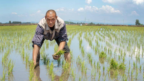 十大时尚品牌的可持续发展之路小淇云库-创业网-网赚副业-网创副业-项目拆解-技术类创业资源网-副业网-免费资源下载小淇云库