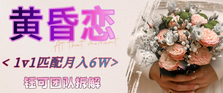 副业拆解：黄昏恋1对1匹配月入6个，潜力巨大小淇云库-创业网-网赚副业-网创副业-项目拆解-技术类创业资源网-副业网-免费资源下载小淇云库