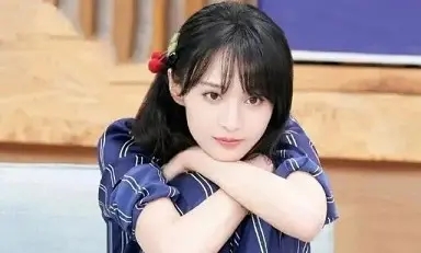 郑爽个人工作室微博被永久封禁小淇云库-创业网-网赚副业-网创副业-项目拆解-技术类创业资源网-副业网-免费资源下载小淇云库