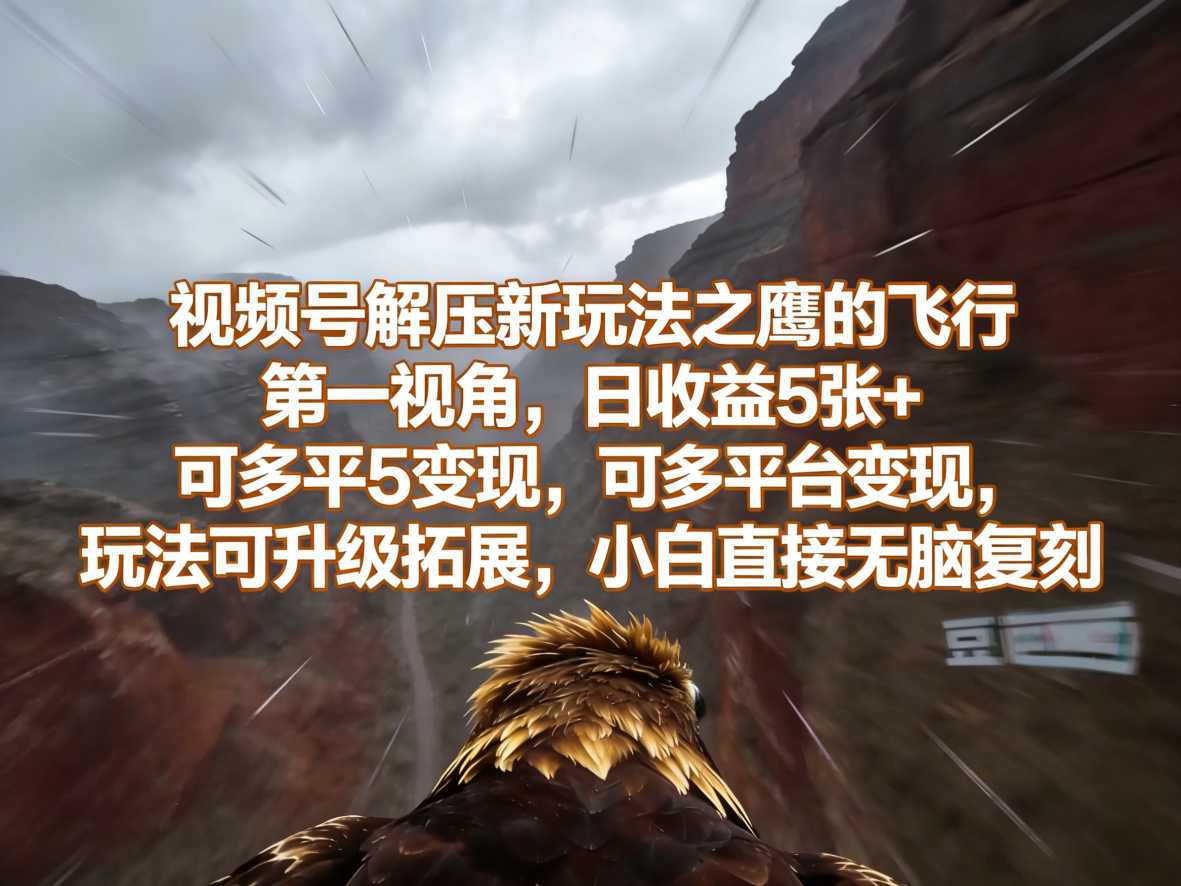 视频号解压新玩法之鹰的飞行第一视角，日收益5张+，可多平台变现，玩法可升级拓展，小白直接无脑复刻小淇云库-创业网-网赚副业-网创副业-项目拆解-技术类创业资源网-副业网-免费资源下载小淇云库